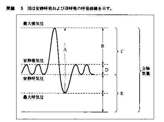 第４回言語聴覚士国家試験問題と解答例